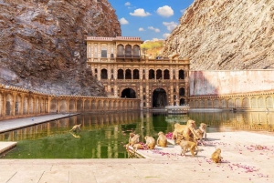 Jaipur: Sightseeingtour met een tuktuk, Galta ji-tempels en eten