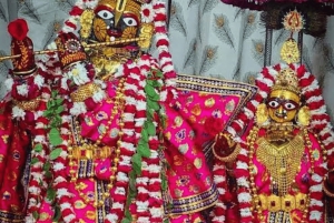 Jaipur: Sightseeingtour met een tuktuk, Galta ji-tempels en eten