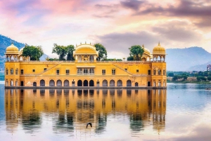 Jaipur: Sightseeingtour met een tuktuk, Galta ji-tempels en eten
