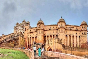 Jaipur: Sightseeingtour met een tuktuk, Galta ji-tempels en eten