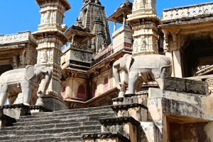 Jaipur: Sightseeingtour met een tuktuk, Galta ji-tempels en eten