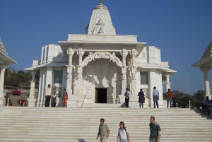 Jaipur: Sightseeingtour met een tuktuk, Galta ji-tempels en eten