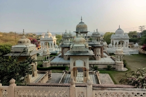Jaipur: Sightseeingtour met een tuktuk, Galta ji-tempels en eten