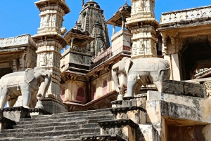 Jaipur: Sightseeingtour met een tuktuk, Galta ji-tempels en eten