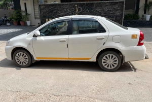 Jaipur: Sightseeingtour met een tuktuk, Galta ji-tempels en eten