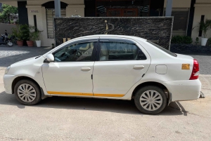 Jaipur: Sightseeingtour met een tuktuk, Galta ji-tempels en eten