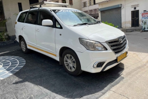 Jaipur: Sightseeingtour met een tuktuk, Galta ji-tempels en eten