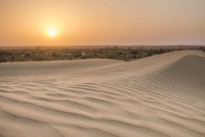Jaisalmer: 2-Day Thar Desert Experience