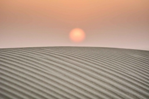 Jaisalmer: 2-Day Thar Desert Experience