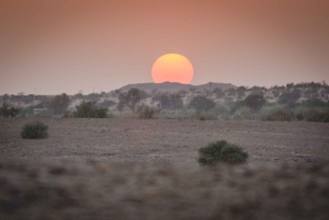 Jaisalmer: 2-Day Thar Desert Experience