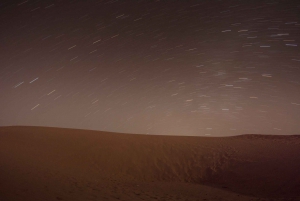 Jaisalmer: 2-Day Thar Desert Experience