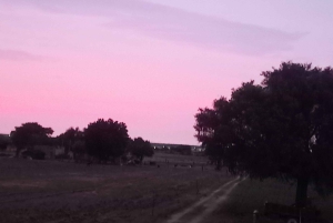 Jaisalmer: zwiedzanie miasta z doświadczonym przewodnikiem