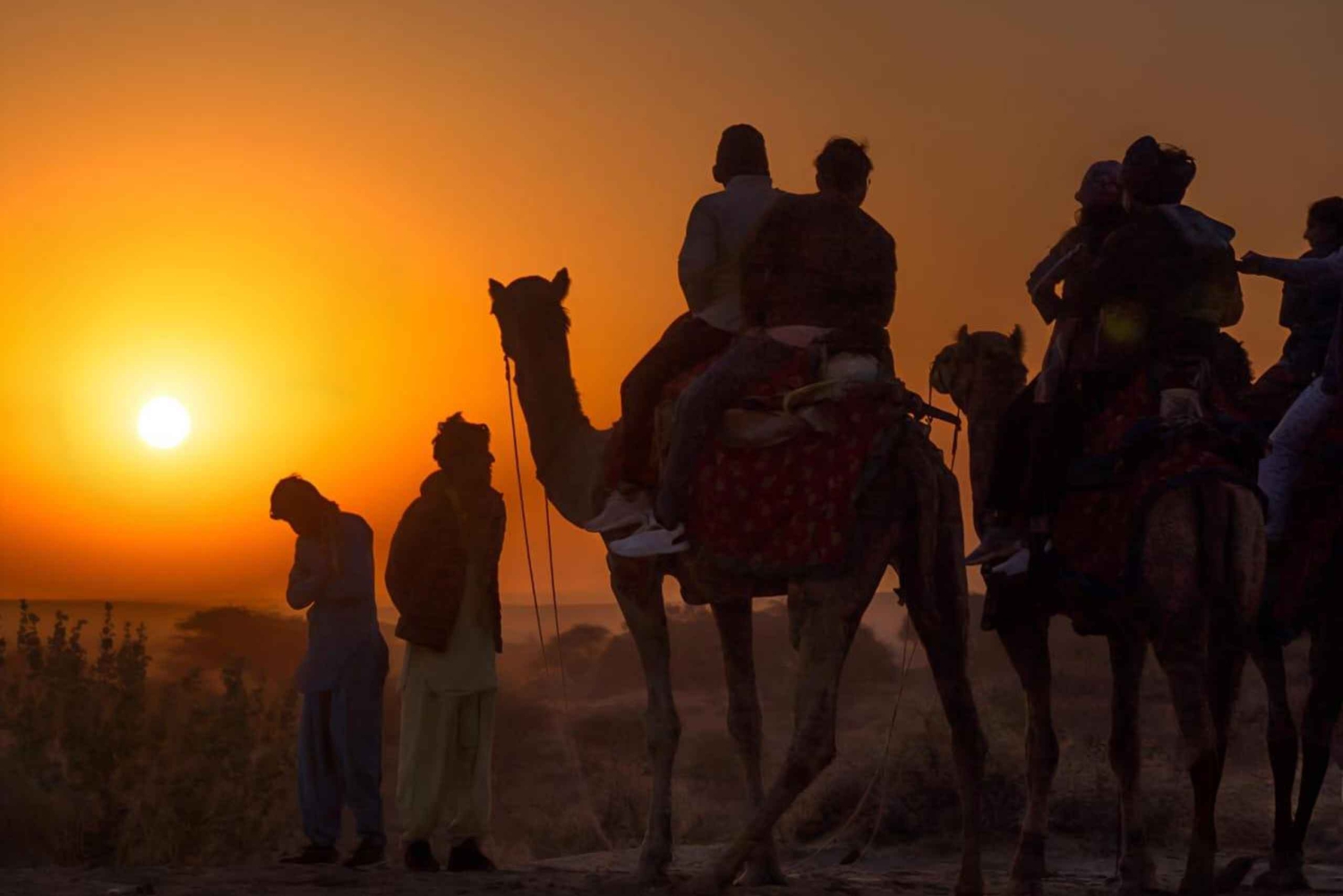Jaisalmer : safari nocturne dans le désert avec balade à dos de chameau