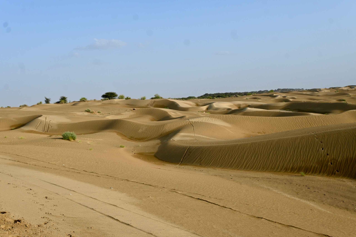 Jaisalmer: Sam Sand Dunes Sunset Tour with Camel Ride