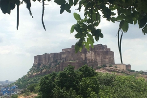Tour a piedi di Jodhpur, la città blu, con servizio navetta