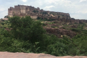 Tour a piedi di Jodhpur, la città blu, con servizio navetta