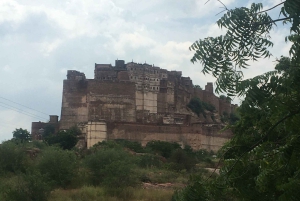 Tour a piedi di Jodhpur, la città blu, con servizio navetta