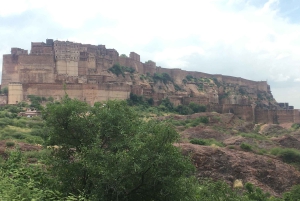 Tour a piedi di Jodhpur, la città blu, con servizio navetta