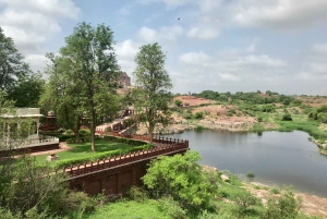 Tour a piedi di Jodhpur, la città blu, con servizio navetta