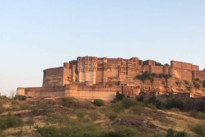 Tour a piedi di Jodhpur, la città blu, con servizio navetta