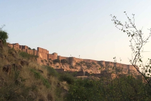 Tour a piedi di Jodhpur, la città blu, con servizio navetta