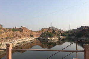 Tour a piedi di Jodhpur, la città blu, con servizio navetta