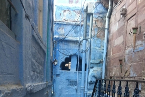 Tour a piedi di Jodhpur, la città blu, con servizio navetta