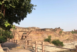 Tour a piedi di Jodhpur, la città blu, con servizio navetta