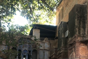 Tour a piedi di Jodhpur, la città blu, con servizio navetta