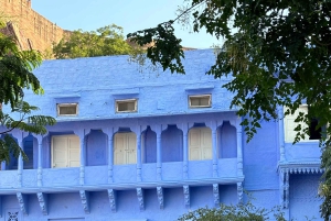 Tour a piedi di Jodhpur, la città blu, con servizio navetta