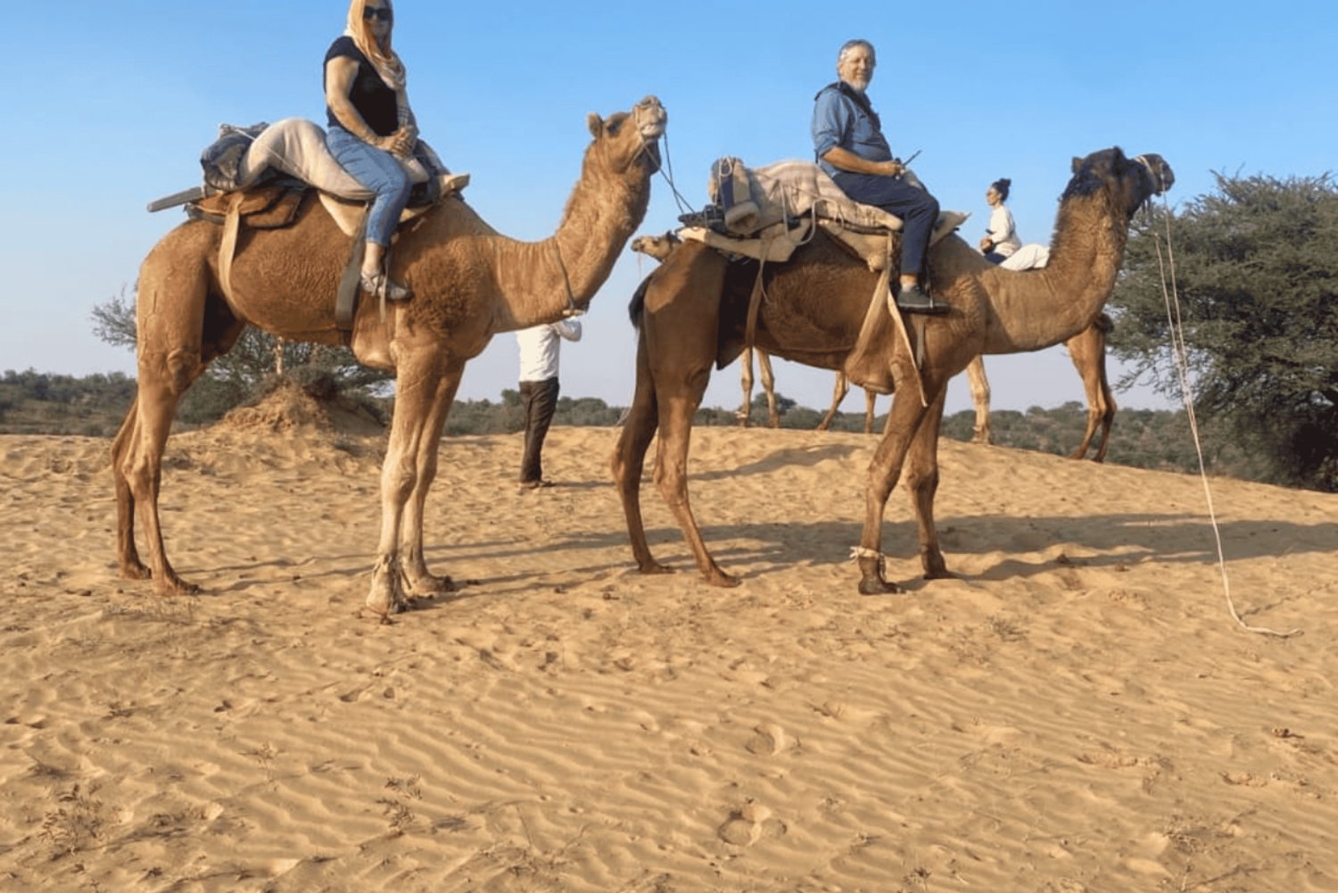 Safari à dos de chameau et en jeep à Jodhpur avec coucher de soleil, danse folklorique et dîner