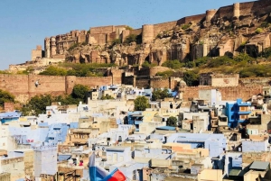 Jodhpur: Full-Day Private City Sightseeing Tour