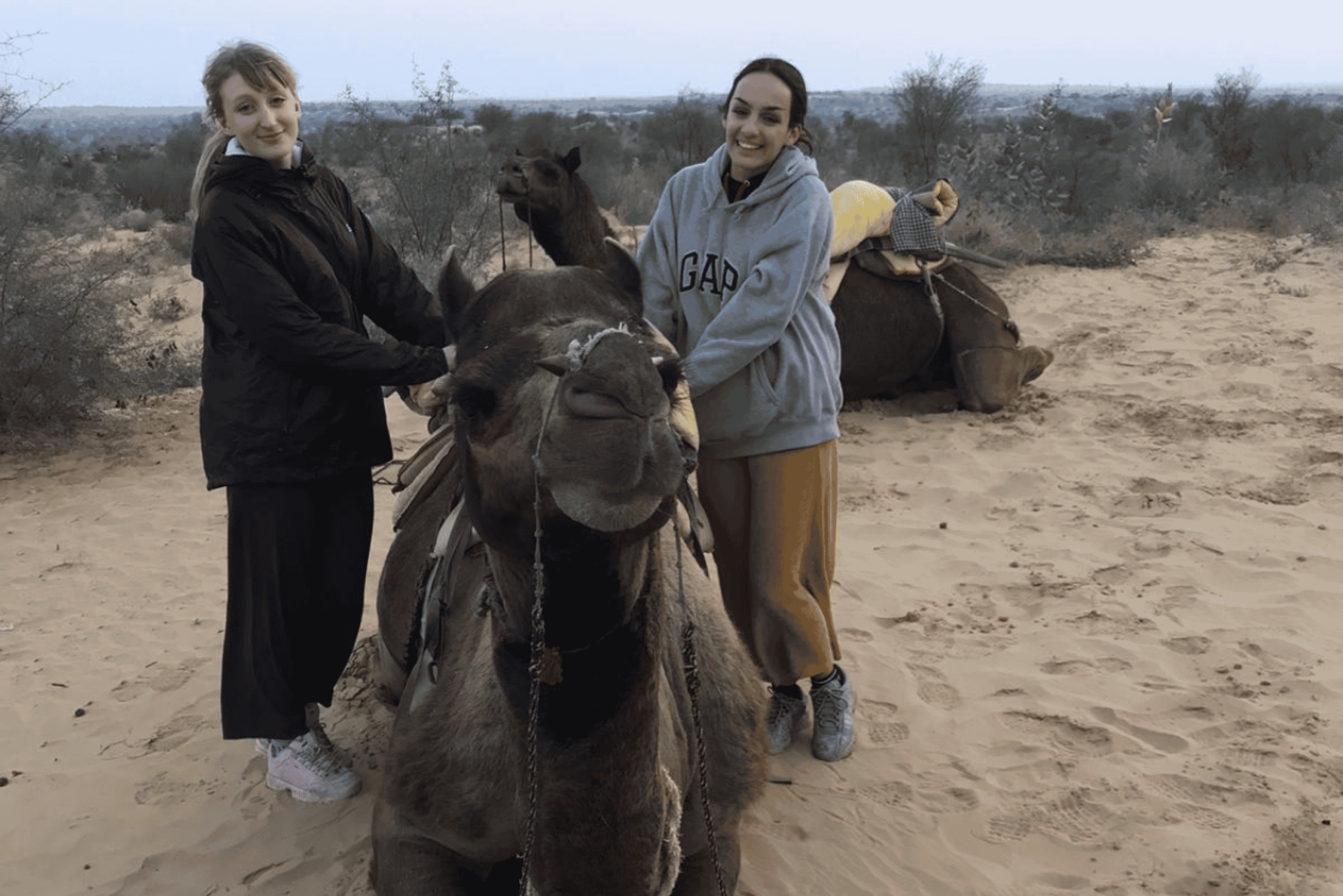 Jodhpur OvernightStay In Desert Rural Village With CamelRide