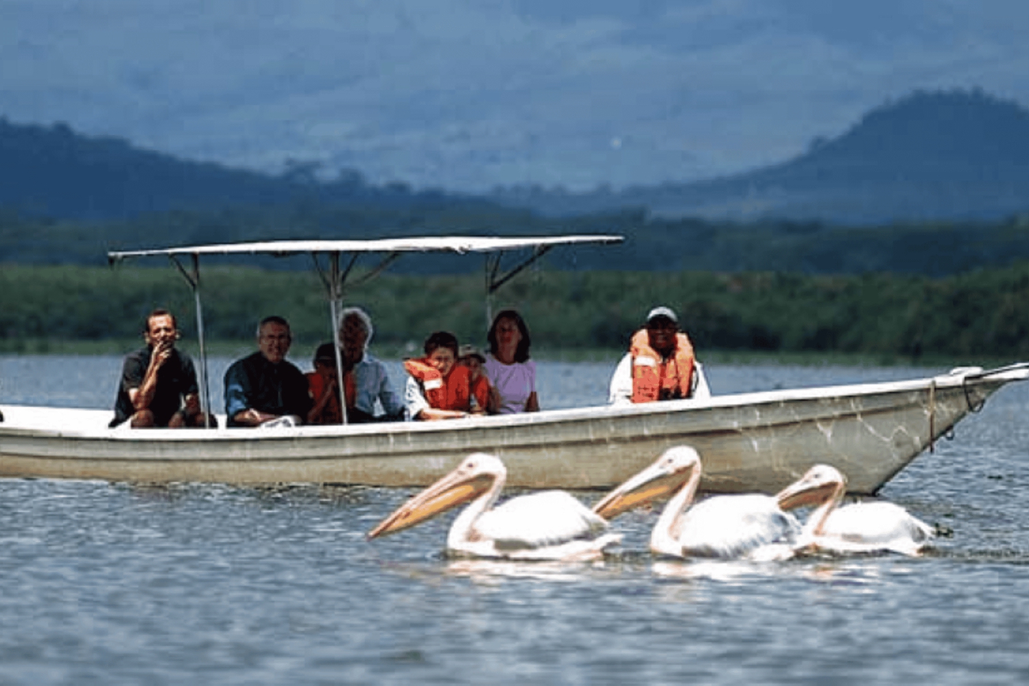 Kota: prywatna wycieczka po mieście z odbiorem z hotelu