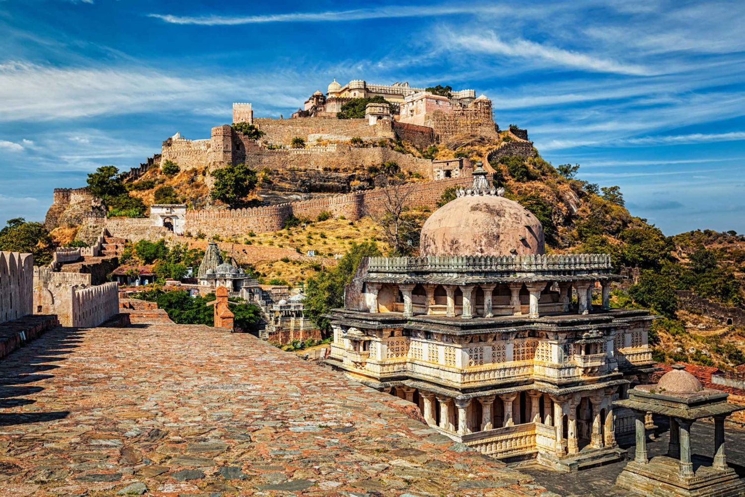 Kumbhalgarh e Ranakpur: Escursione privata di un giorno da Udaipur