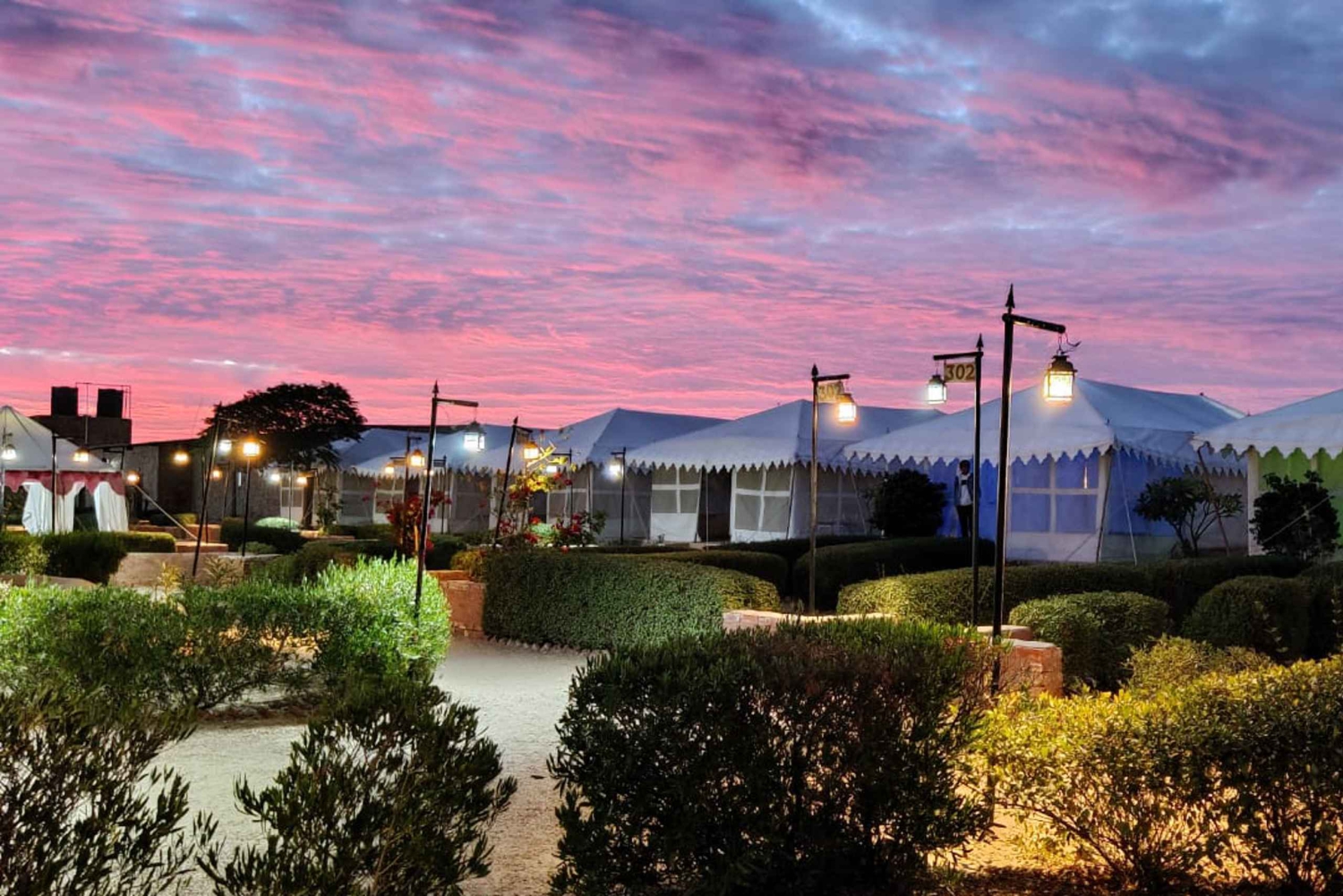 Tenda di lusso, cena, colazione, giro in cammello nel deserto del thar