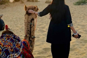 観光地ではない砂丘での一泊ツアー（ラクダサファリ付き）。