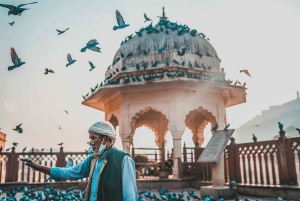 Privat heldagstur i Jaipur med afhentning og aflevering på hotel