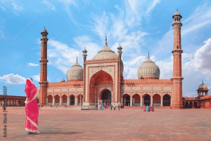 ゴールデン トライアングル 4日プライベート ツアー パッケージ（デリー、アグラ、ジャイプール）