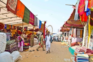 Pushkar and Ajmer Private Full-Day Sightseeing Tour