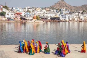 Pushkar and Ajmer Private Full-Day Sightseeing Tour