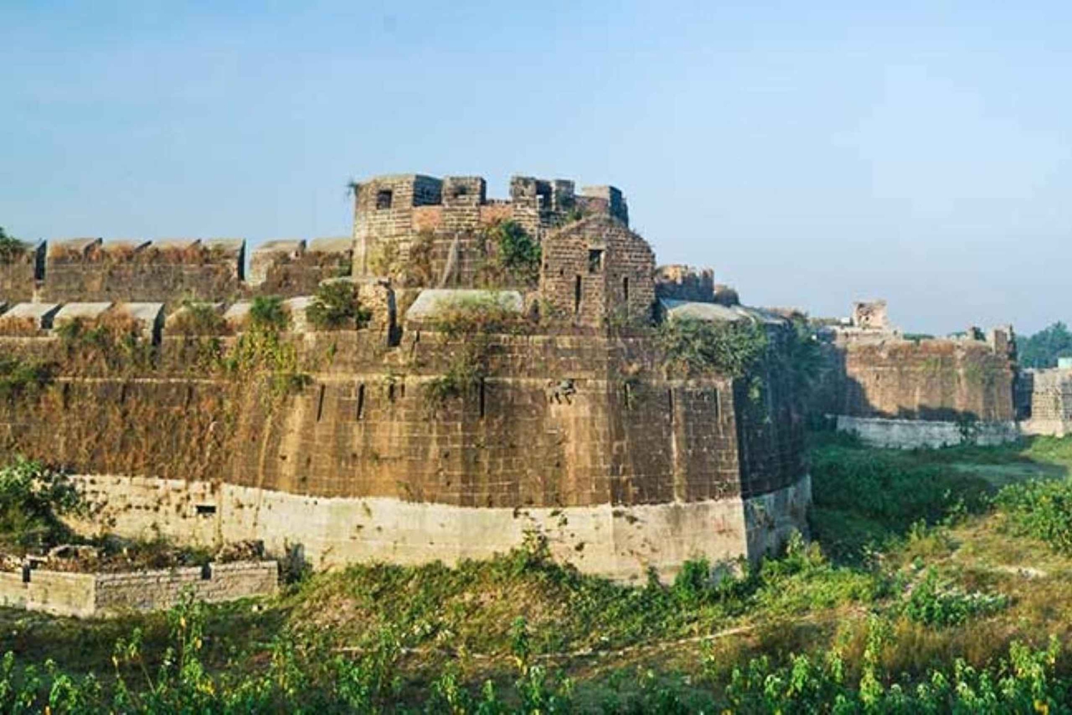 Da Delhi: tour di 5 giorni del Triangolo d'Oro e safari alla ricerca delle tigri