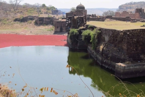 ランサボレ国立公園：キャンターサファリチケット（送迎付き）