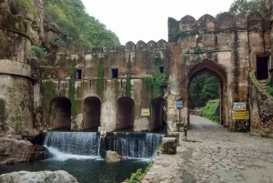 ランサボレ国立公園：キャンターサファリチケット（送迎付き）