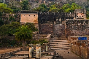 Рантхамбор WildLife (сафари на тигров) Экскурсия на целый день из Джайпура