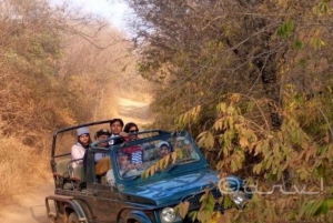 Рантхамбор WildLife (сафари на тигров) Экскурсия на целый день из Джайпура