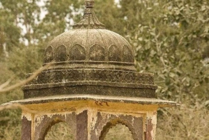 Рантхамбор WildLife (сафари на тигров) Экскурсия на целый день из Джайпура