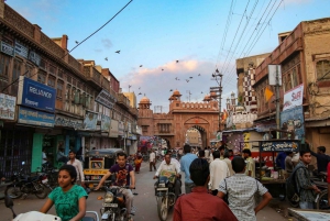 Kuninkaallinen Bikaner: opastettu puolen päivän kaupunkikierros ja nouto hotellilta