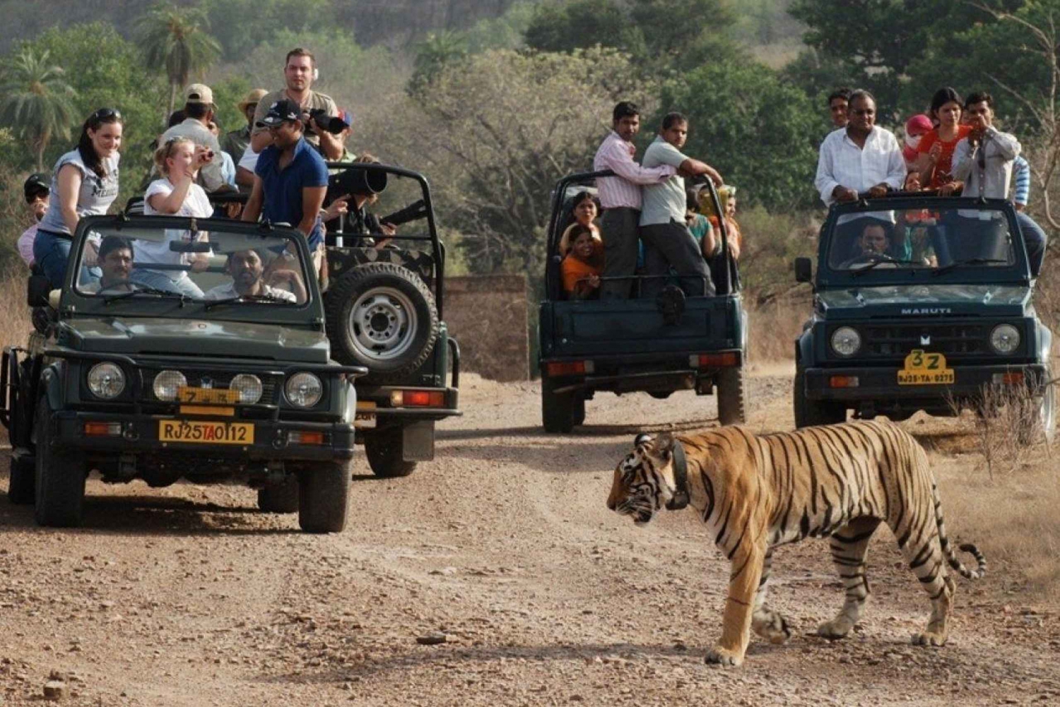 Rajastán: Safari al Parque Nacional de Ranthambore