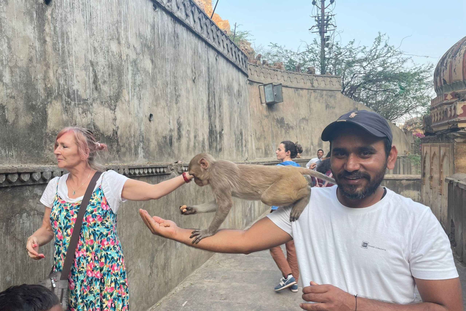 Tagestour Abhaneri mit Affentempel von Jaipur aus